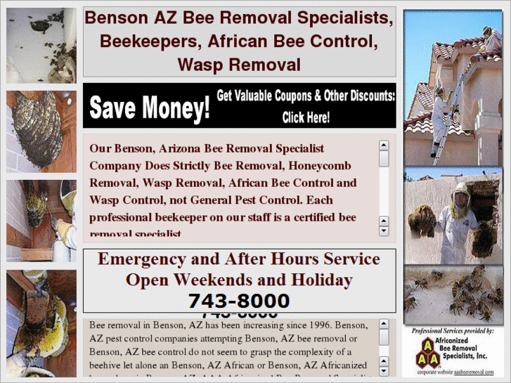 www.bensonazbeeremoval.com