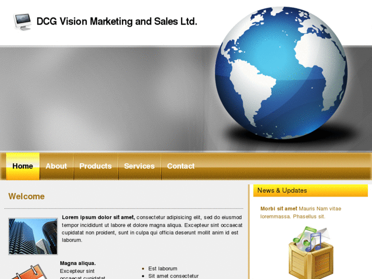 www.dcgvision.com