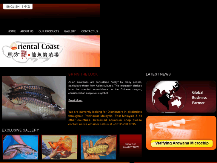 www.malaysia-arowana.com