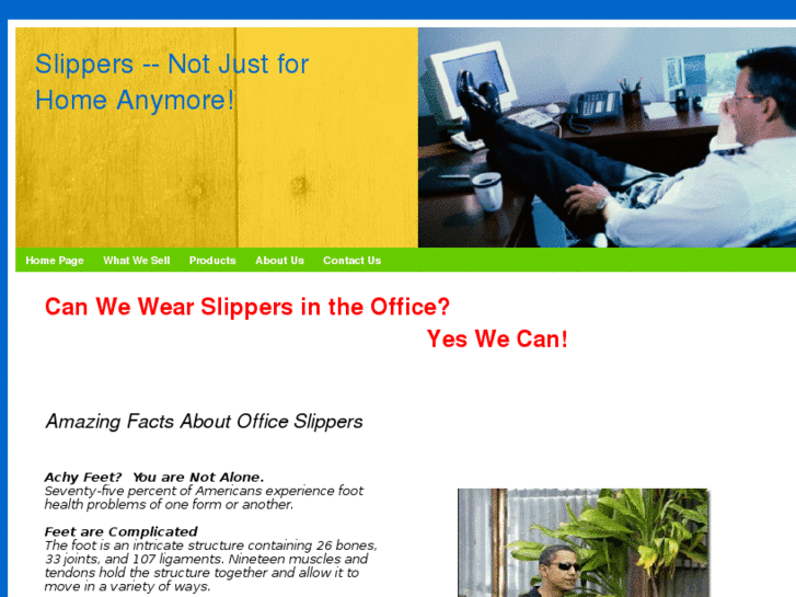 www.officeslippers.com