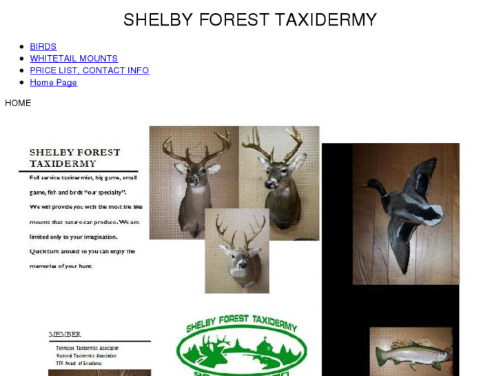 www.shelbyforesttaxidermy.com