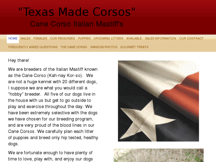 www.texasmadecorsos.com