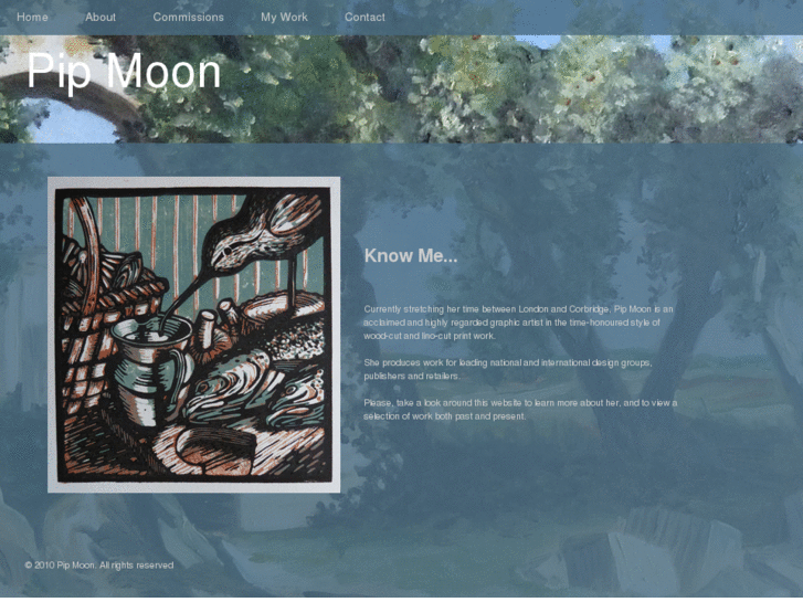 www.pipmoon.com