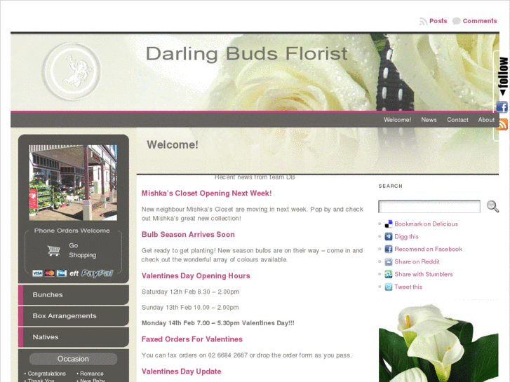 www.darlingbudsflorist.com