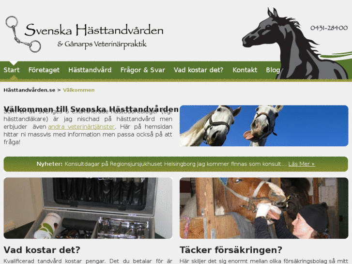 www.hasttandvard.se