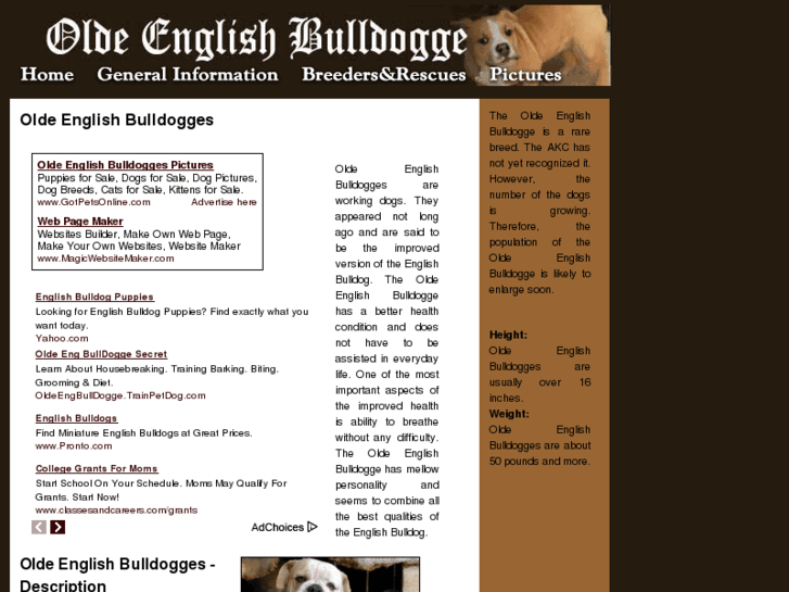 www.olde-english-bulldogges.com