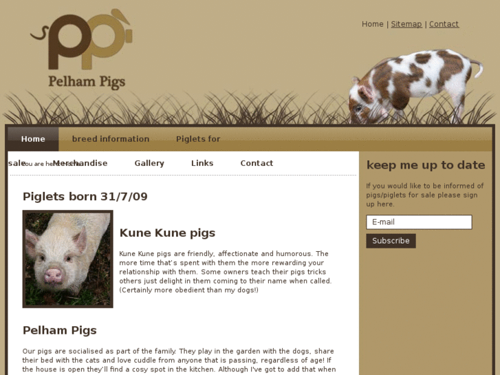 www.pelhampigs.com