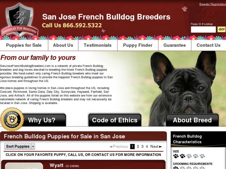 www.sanjosefrenchbulldogbreeders.com