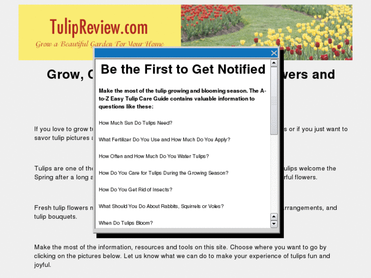 www.tulipreview.com