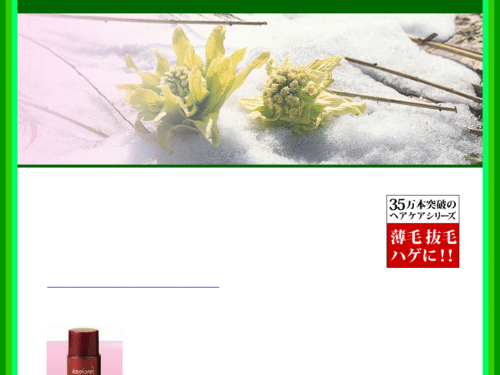www.algsystem.com