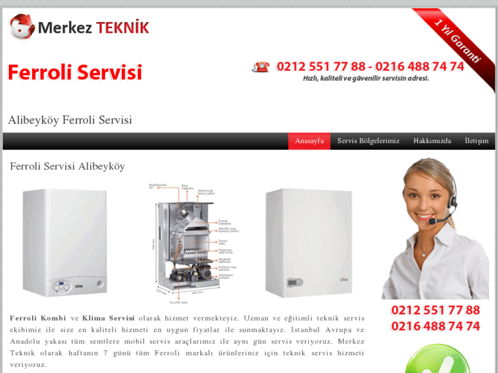 www.alibeykoyferroliservisi.com