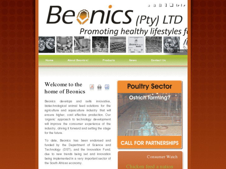 www.beonics.com