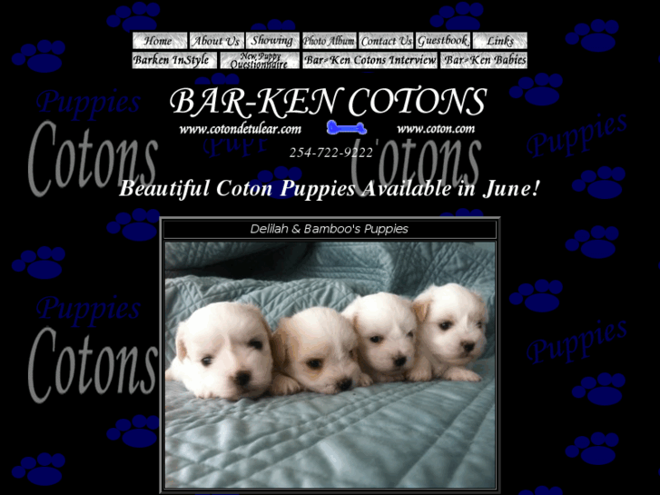 www.coton.com