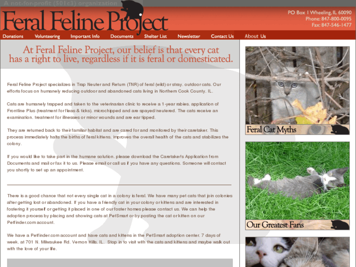 www.feralfelineproject.org