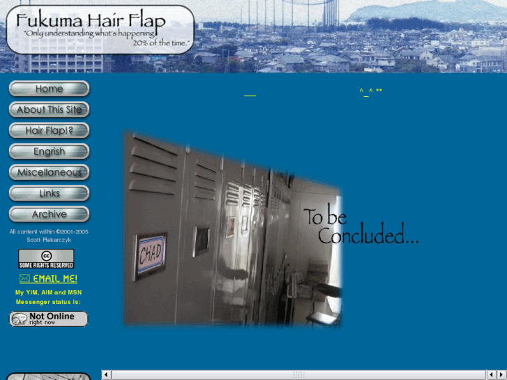 www.hair-flap.com