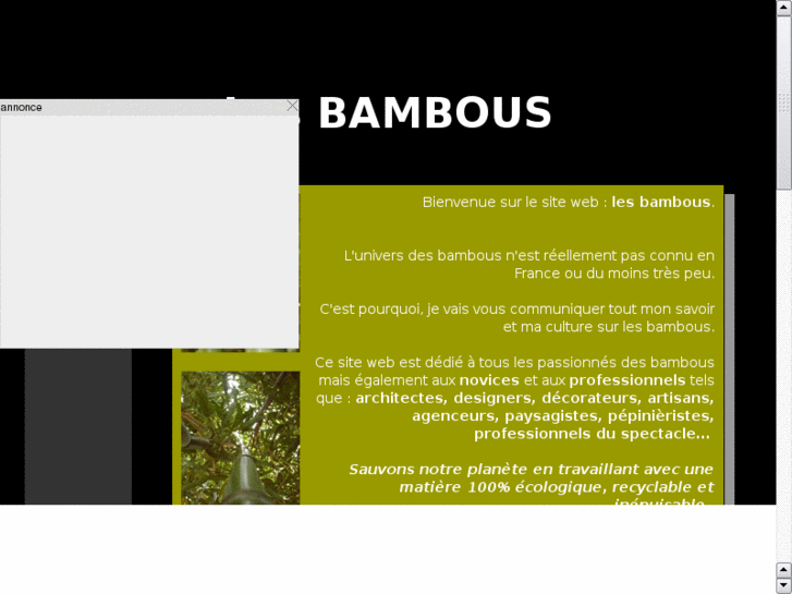 www.lamaisondubambou.com