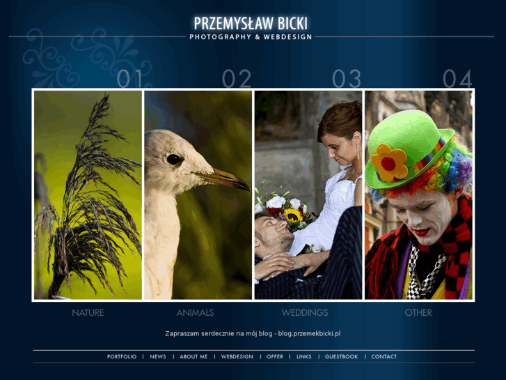 www.przemekbicki.pl