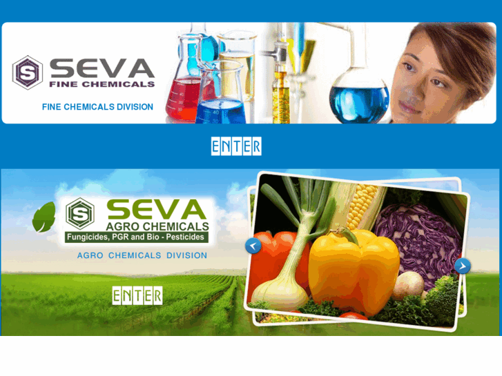 www.sevafinechemicals.com