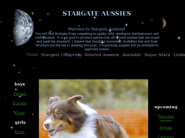 www.stargateaussies.com