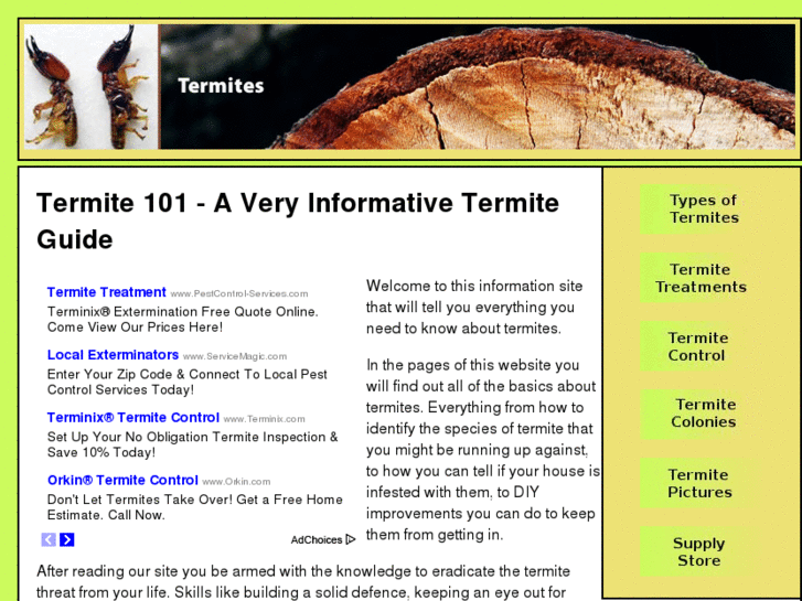 www.termitepedia.com