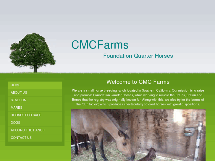 www.cmcfarms.com