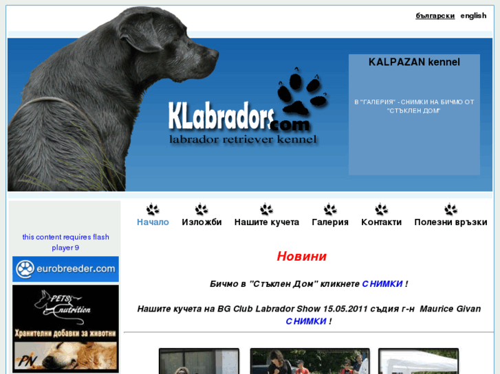 www.klabradors.com