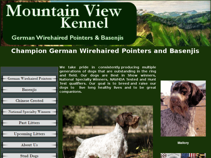 www.mountainviewkennel.org