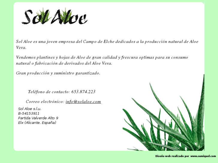 www.solaloe.com