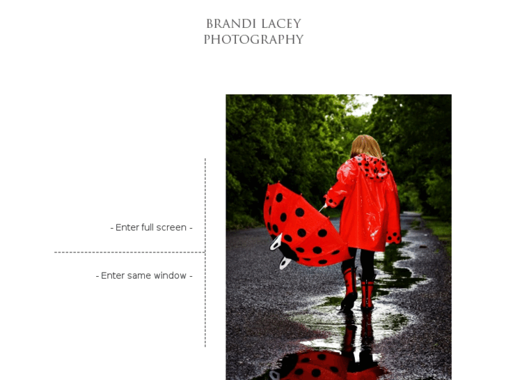 www.brandilacey.com