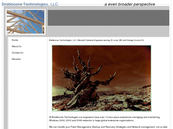 www.bristleconetechnologies.com