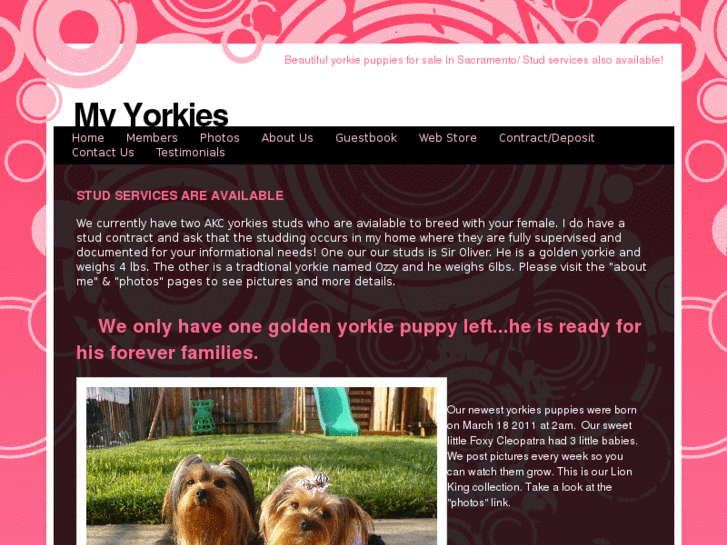 www.houseofroyaltyyorkies.com