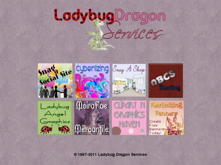 www.ladybugdragonservices.com