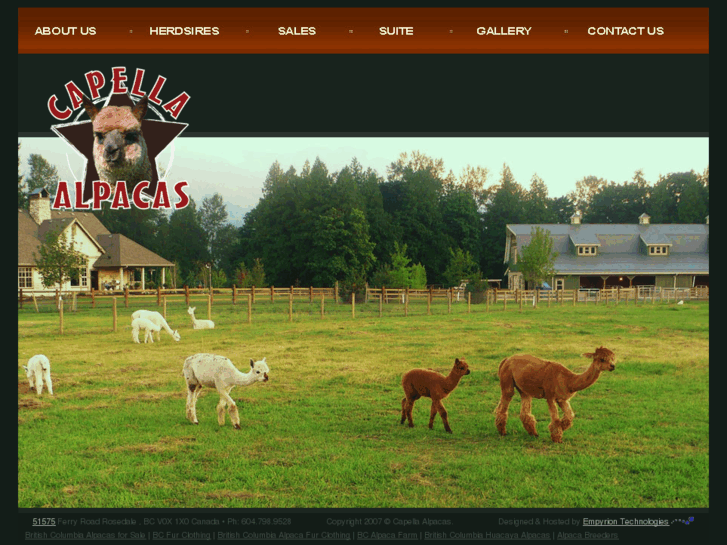 www.capellaalpacas.com