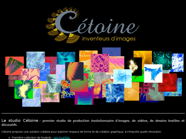 www.cetoine.com