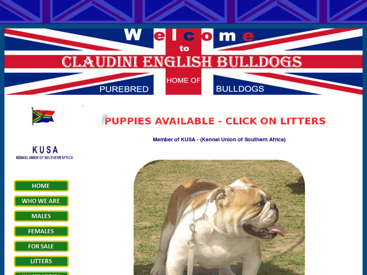 www.claudinibulldogs.com