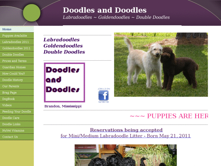 www.doodlesanddoodles.com