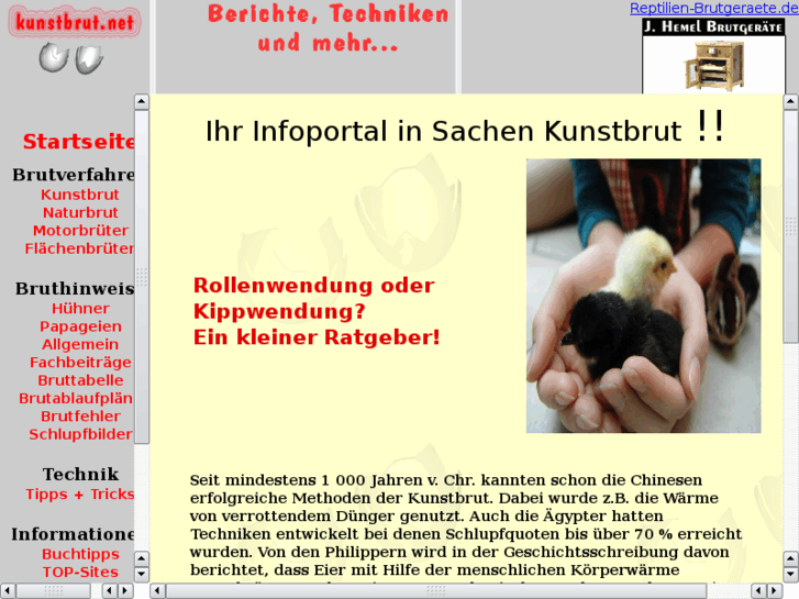 www.kunstbrut.net