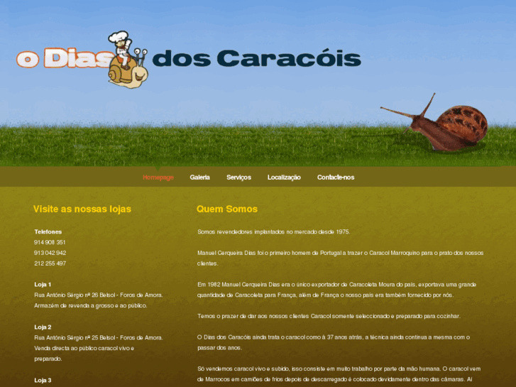 www.odiasdoscaracois.com