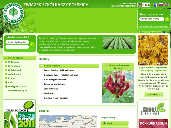 www.zszp.pl