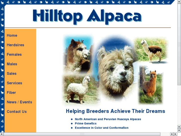 www.alpacaluv.com