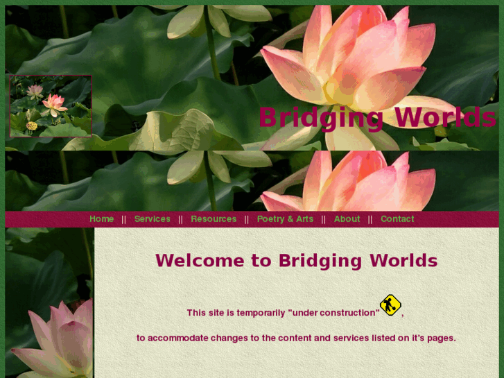 www.bridgingworlds.com