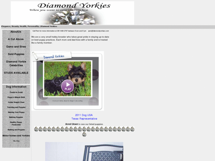 www.diamondyorkies.com