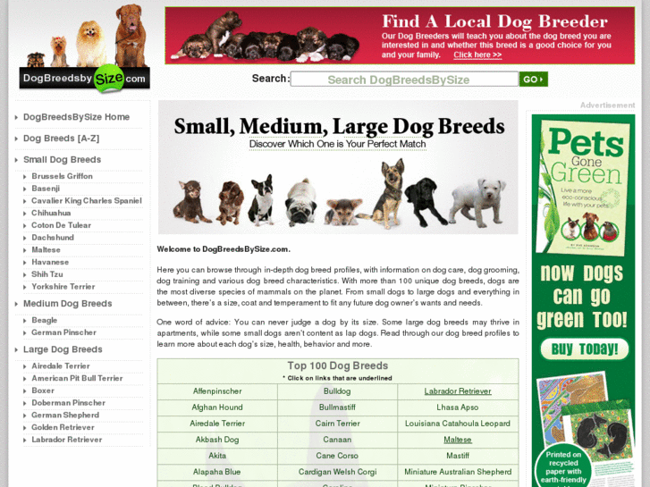 www.dogbreedsbysize.com