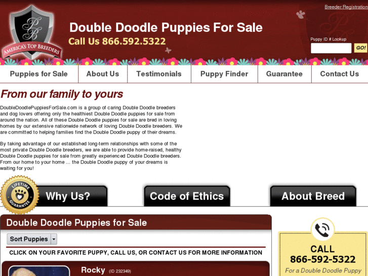 www.doubledoodlepuppiesforsale.com