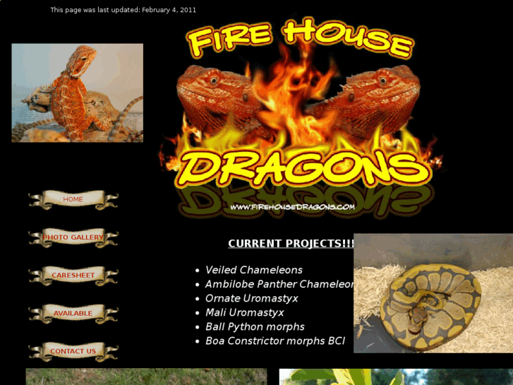 www.firehousedragons.com