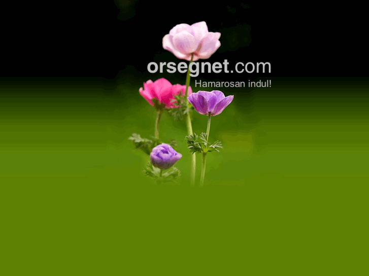 www.orseg.net