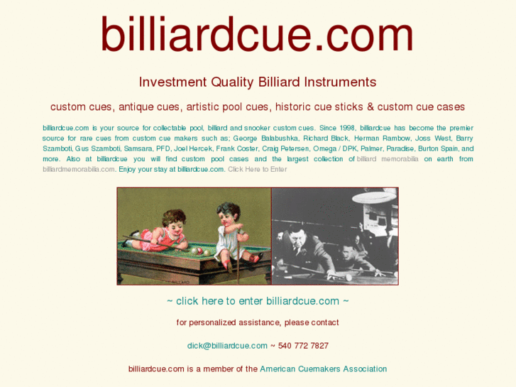 www.billardcue.biz