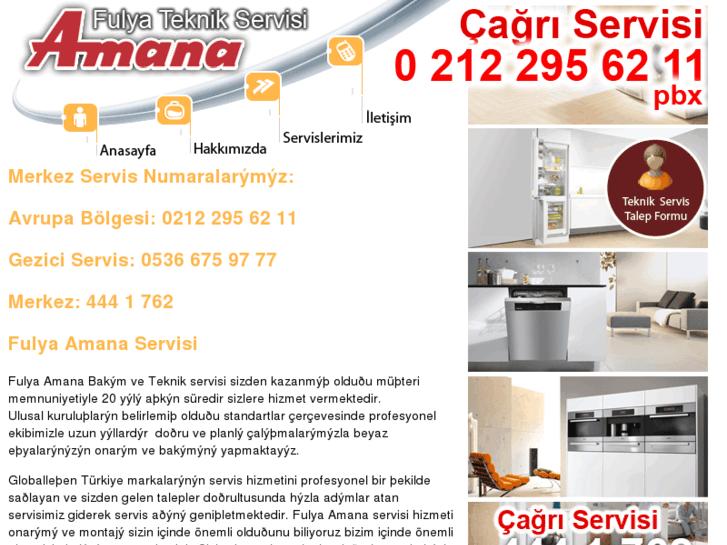 www.fulyaamanaservisi.com