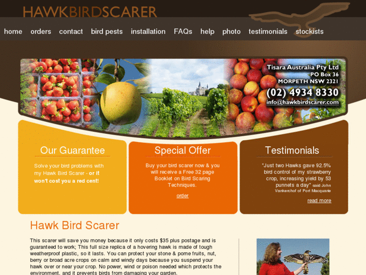 www.hawkbirdscarer.com