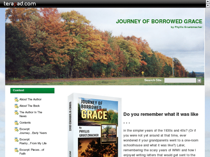 www.journeyofborrowedgrace.com